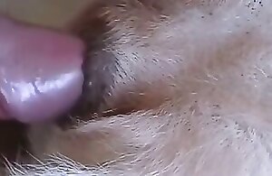 Bestiality and ZOO porn video